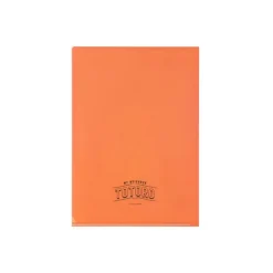 Storage*Maison Ghibli Art Déco Clear Folder A4 - My Neighbor Totoro
