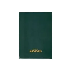 Storage*Maison Ghibli Art Déco Clear Folder A4 - Princess Mononoke