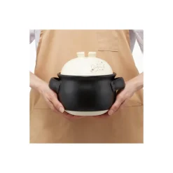 Kitchenware*Maison Ghibli Banko-yaki Rice Pot 1000ml - My Neighbor Totoro