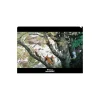 Storage*Maison Ghibli Clear File A4 Kodama's forest - Princess Mononoke