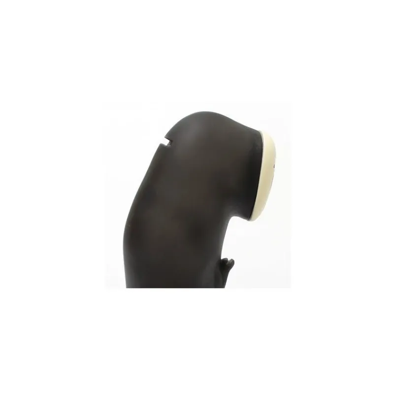 Coins Banks*Maison Ghibli COIN BANK NO FACE - SPIRITED AWAY