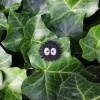 Pins*Maison Ghibli Embroidered Jewel Brooch Soot Sprite - My Neighbor Totoro