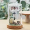 Music Boxes*Maison Ghibli Marionette Style Music Box Totoro - My Neighbor Totoro