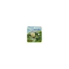 Magnets*Maison Ghibli MINI MAGNET SET TOTORO RIDE ON WIND-MY NEIGHBOR TOTORO